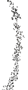 Asteroid Belt