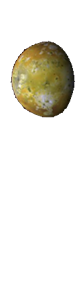 Io