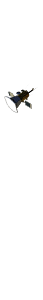 Parker Solar Probe