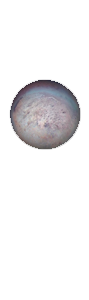 Triton