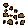 erosion
