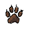 paw print