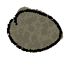 pumice