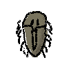 trilobite